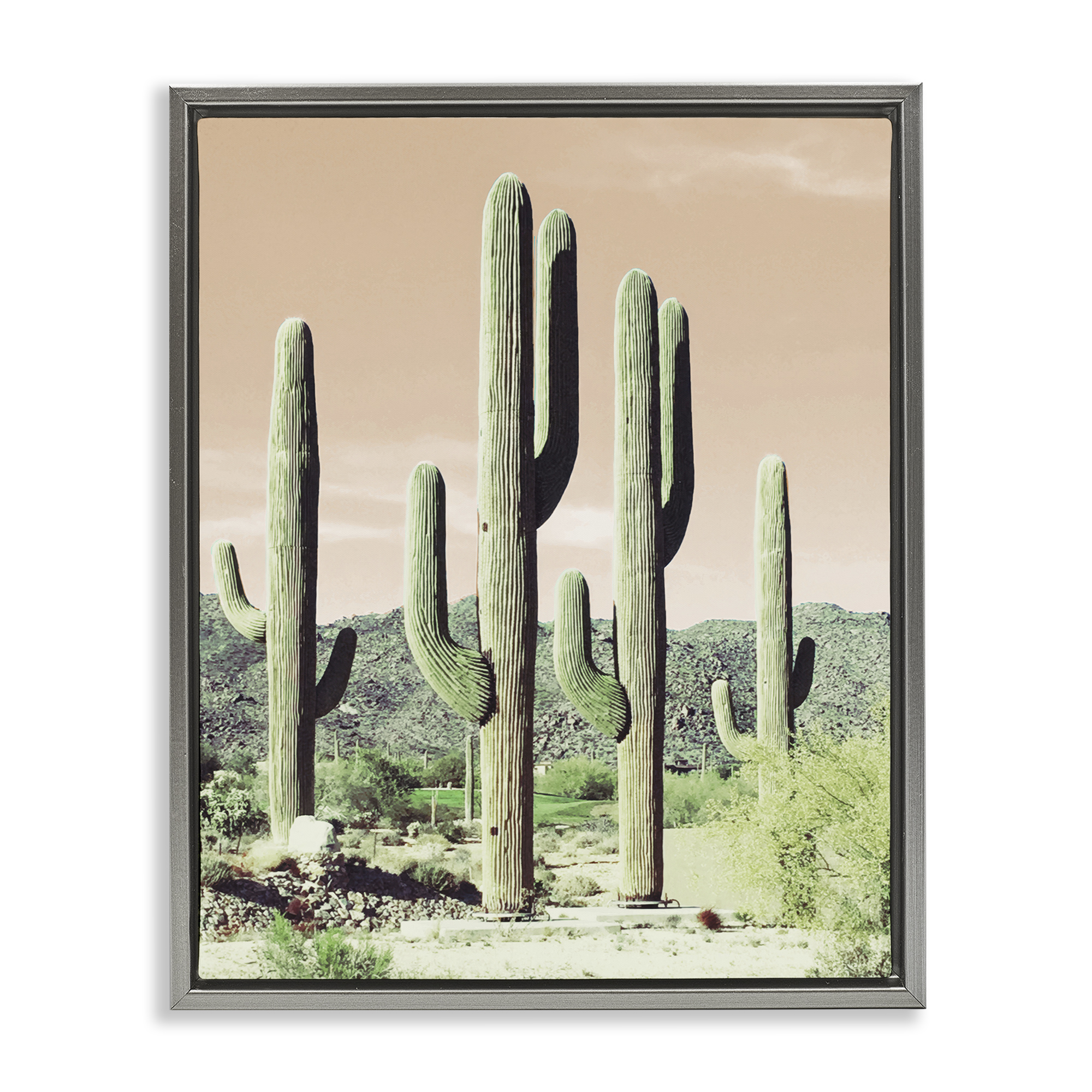 Stupell Industries Sunrise Cactus Scene Landscape & Nature Photography Gray Floater Framed Canvas Art Print Wall Art, 17 x 21