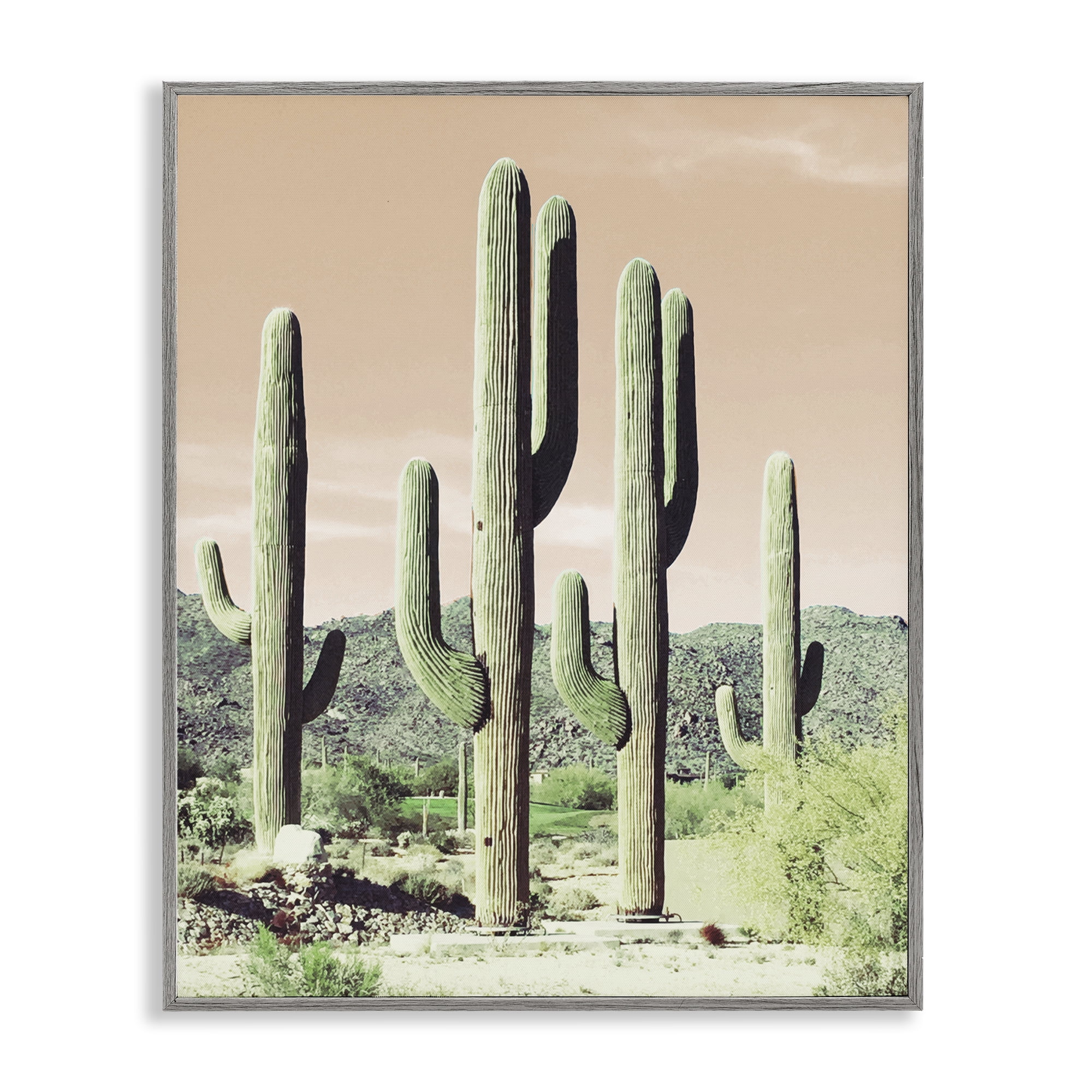Stupell Industries Sunrise Cactus Scene Landscape & Nature Photography Gray Framed Art Print Wall Art, 24 x 30