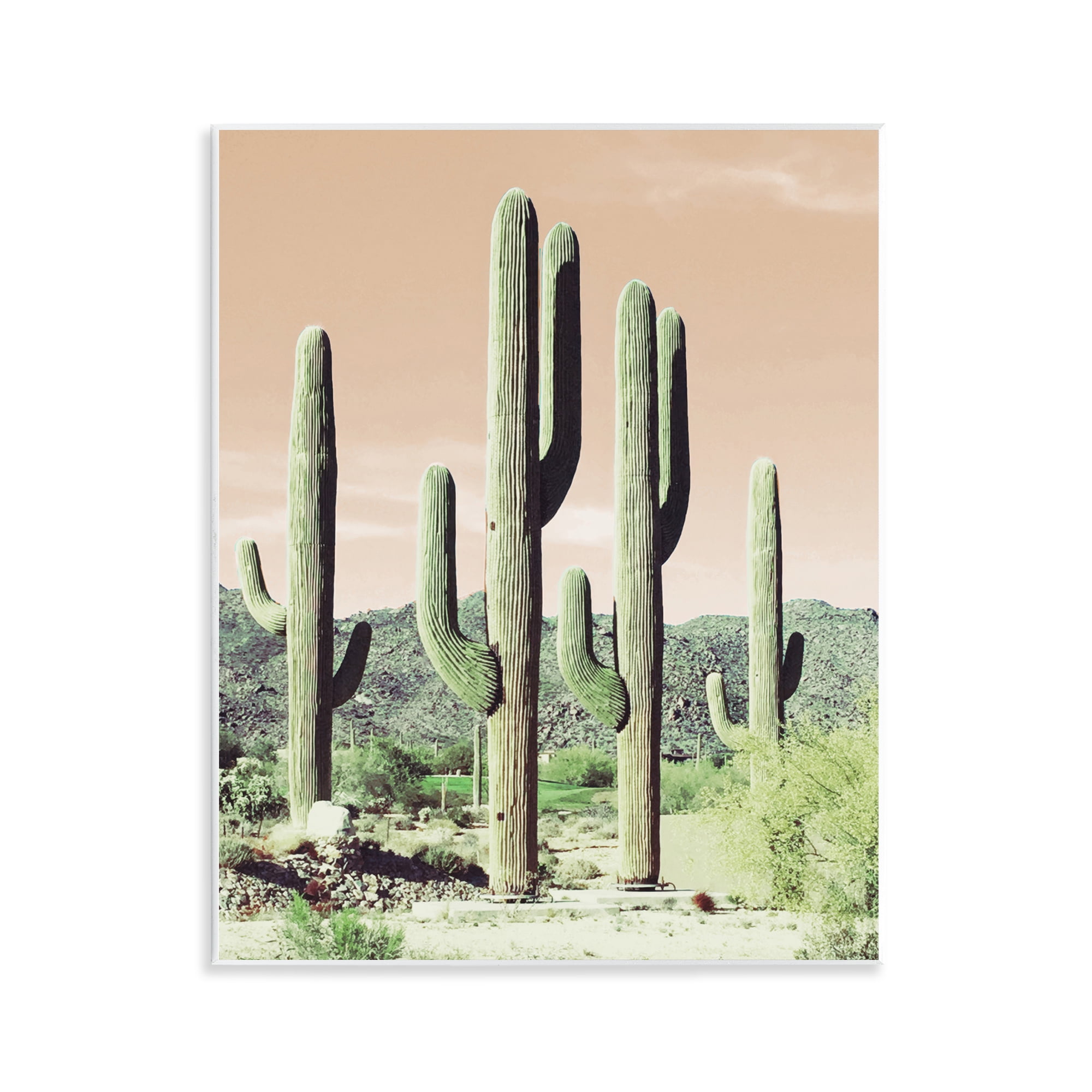 Stupell Industries Sunrise Cactus Scene Landscape & Nature Photography Unframed Art Print Wall Art, 11 x 14