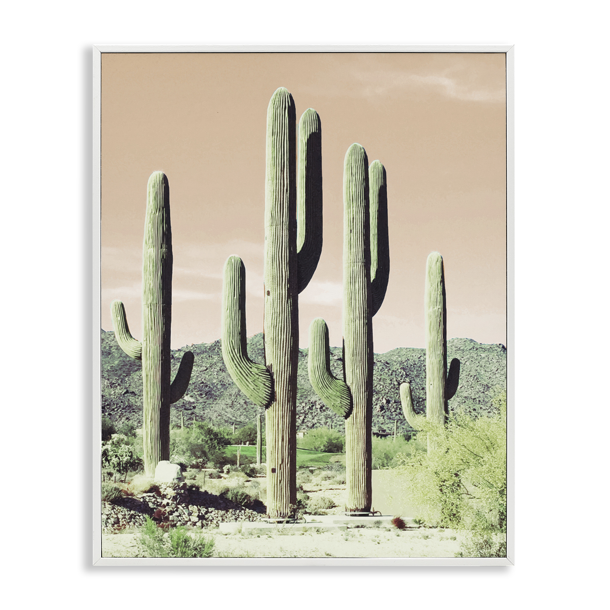 Stupell Industries Sunrise Cactus Scene Landscape & Nature Photography White Framed Art Print Wall Art, 16 x 20