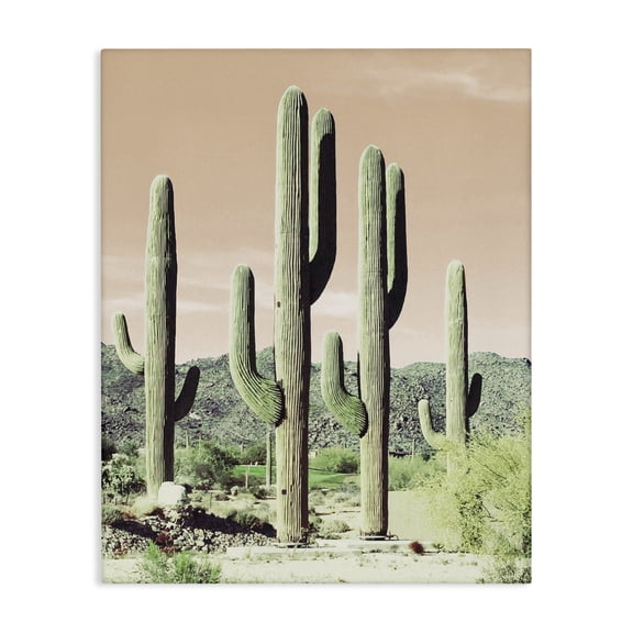 Stupell Industries Sunrise Cactus Scene Landscape & Nature Photography Wrapped Canvas Art Print Wall Art, 24 x 30