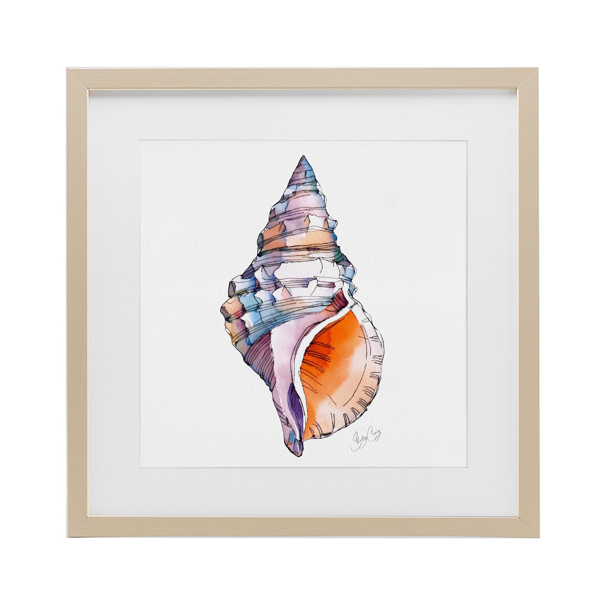 Stupell Industries Sunrise Conch Shell Birch Framed Print Under Glass, design by Shelly Craig