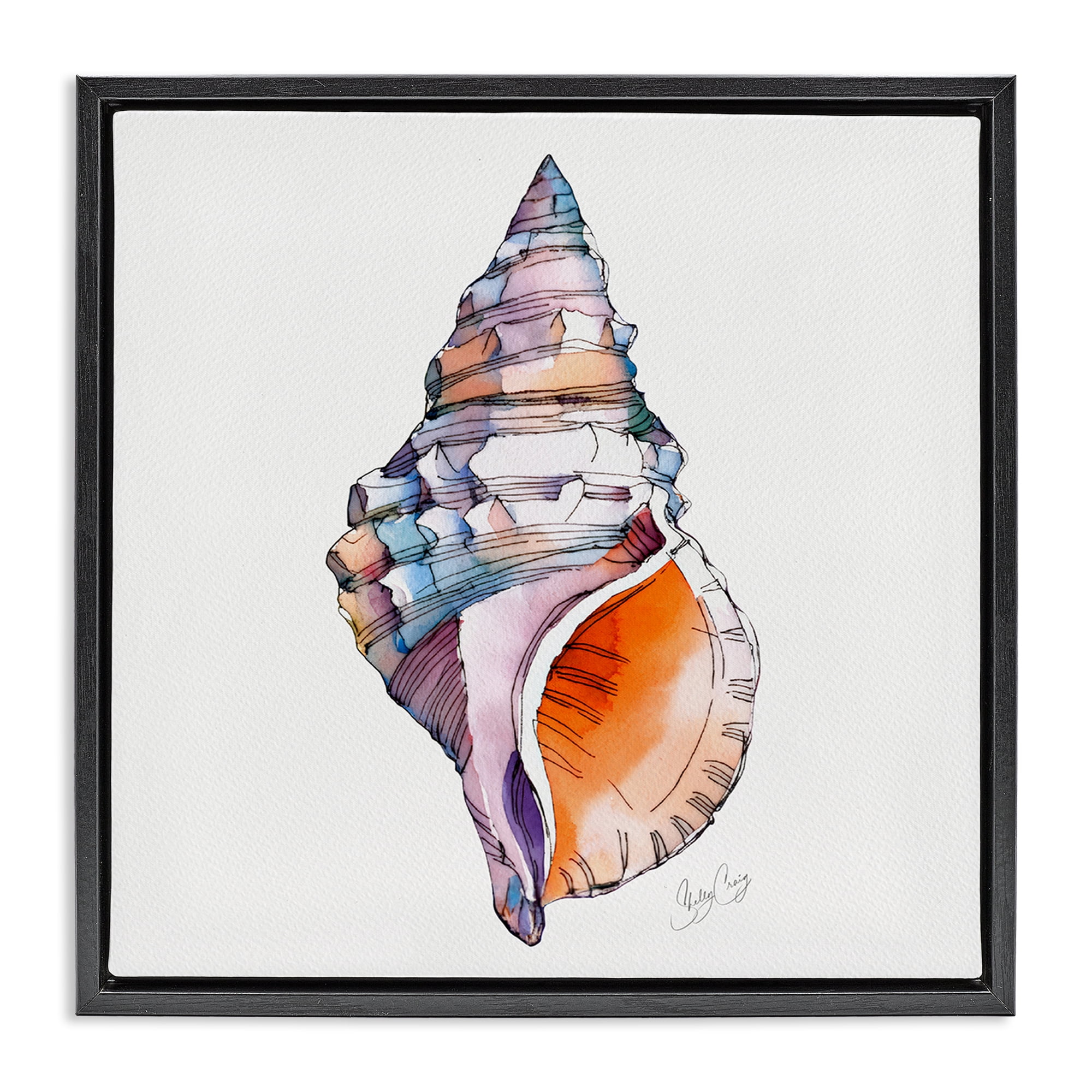 Stupell Industries Sunrise Conch Shell Black Framed Floater Canvas Wall Art, design by Shelly Craig