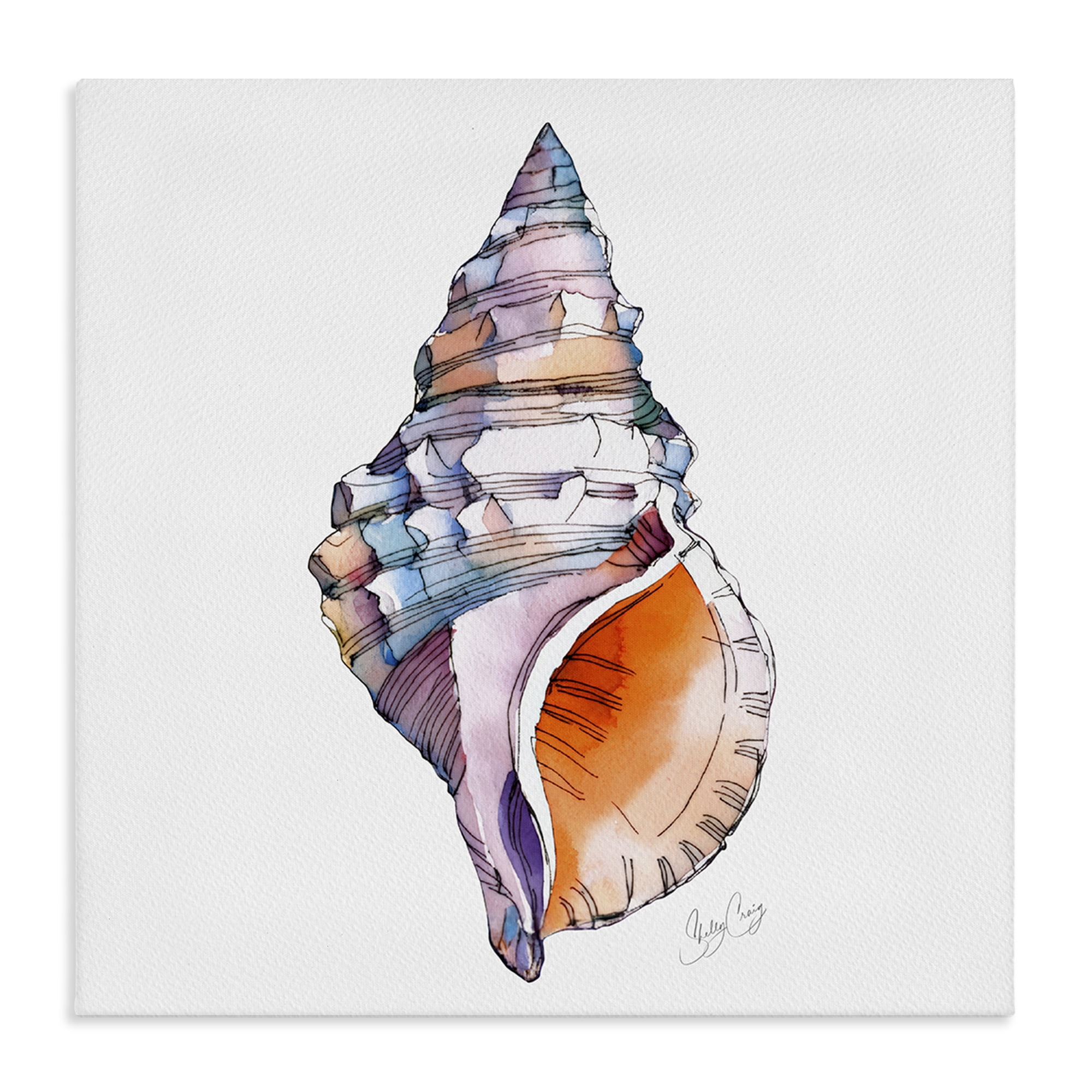 Stupell Industries Sunrise Conch Shell Canvas Wall Art, design by Shelly Craig