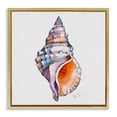 thumbnail image 1 of Stupell Industries Coastal Sunrise Conch Shell Gold Floating Frame Canvas Art, 25 x 25, by Shelly Craig, 1 of 8