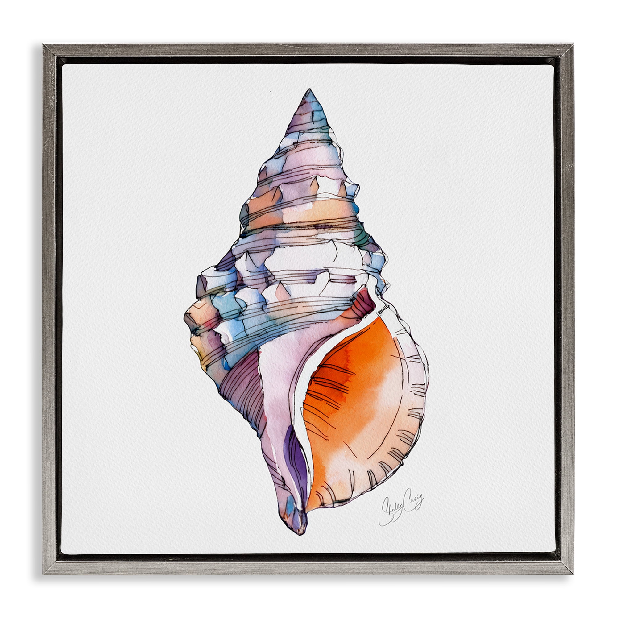 Stupell Industries Sunrise Conch Shell Gray Framed Floater Canvas Wall Art, design by Shelly Craig