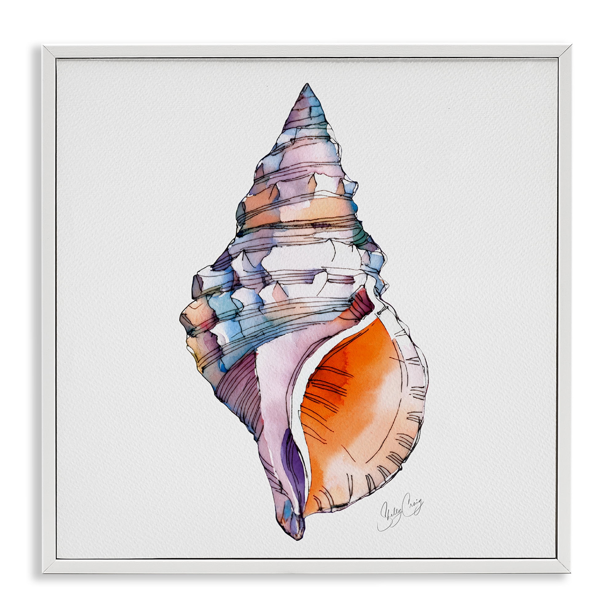 Stupell Industries Sunrise Conch Shell White Framed Giclee Art, design by Shelly Craig