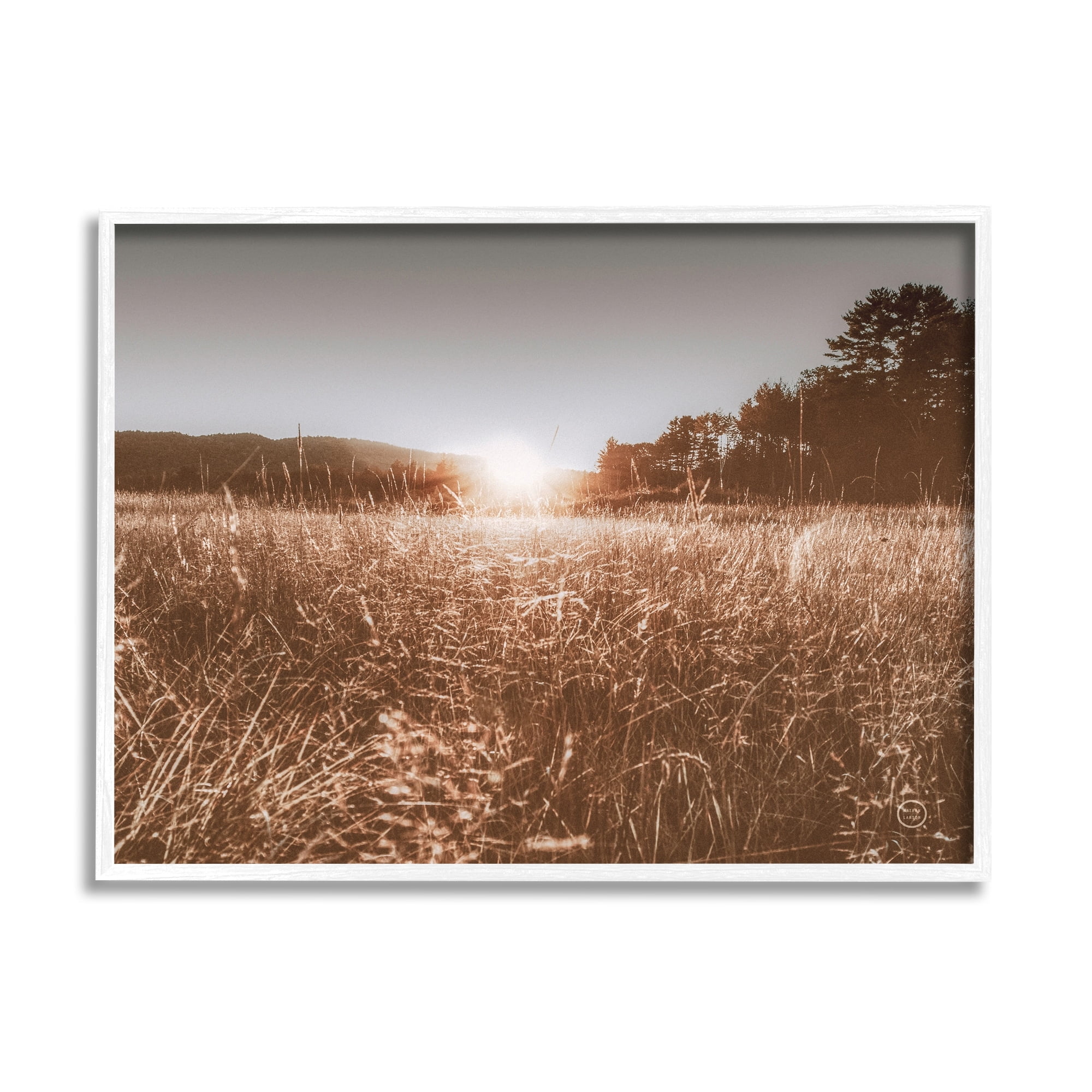 Stupell Industries Sunrise Country Meadow Tall Grass Light Burst Photography, 14 x 11,Design by Nathan Larson