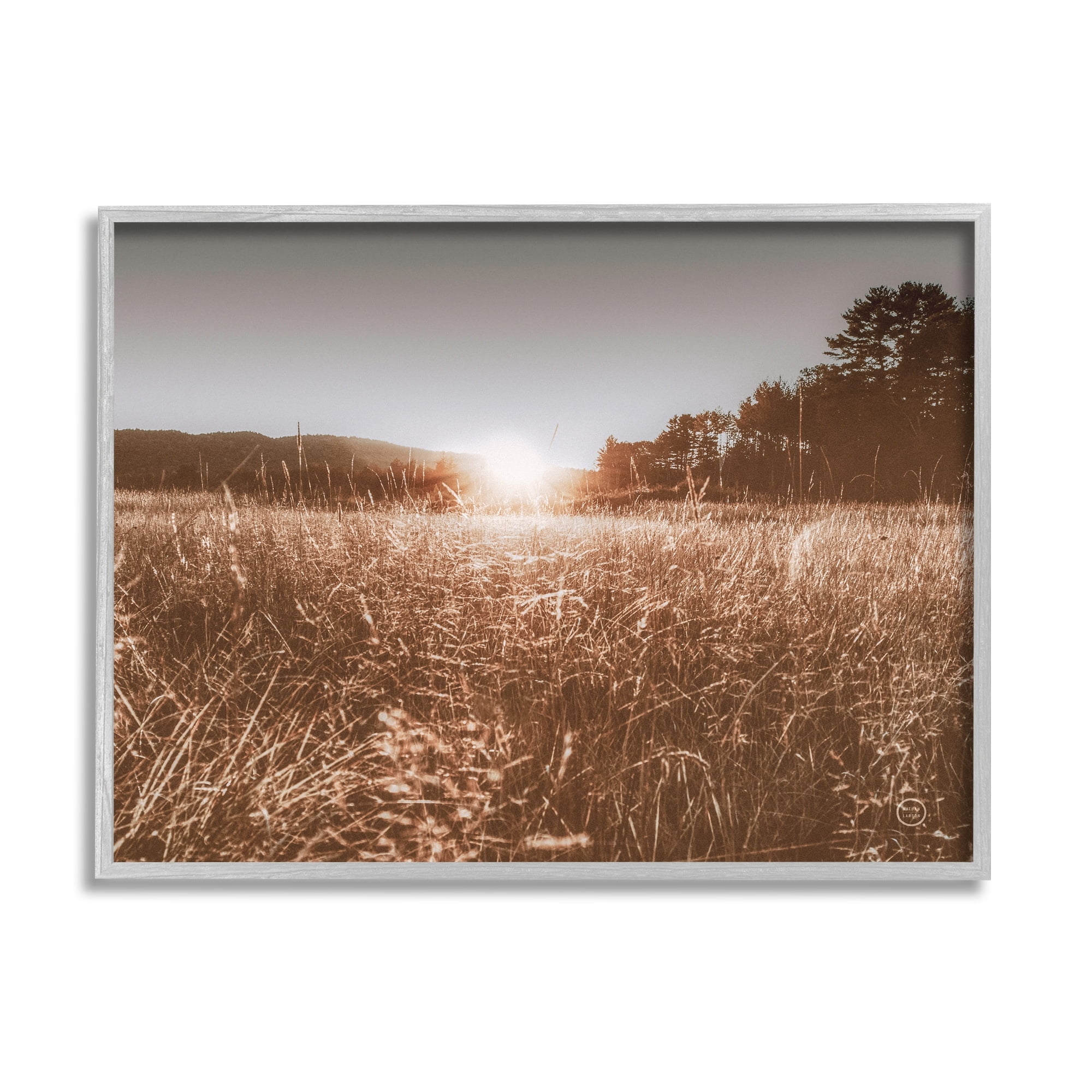 Stupell Industries Sunrise Country Meadow Tall Grass Light Burst Photography, 14 x 11,Design by Nathan Larson