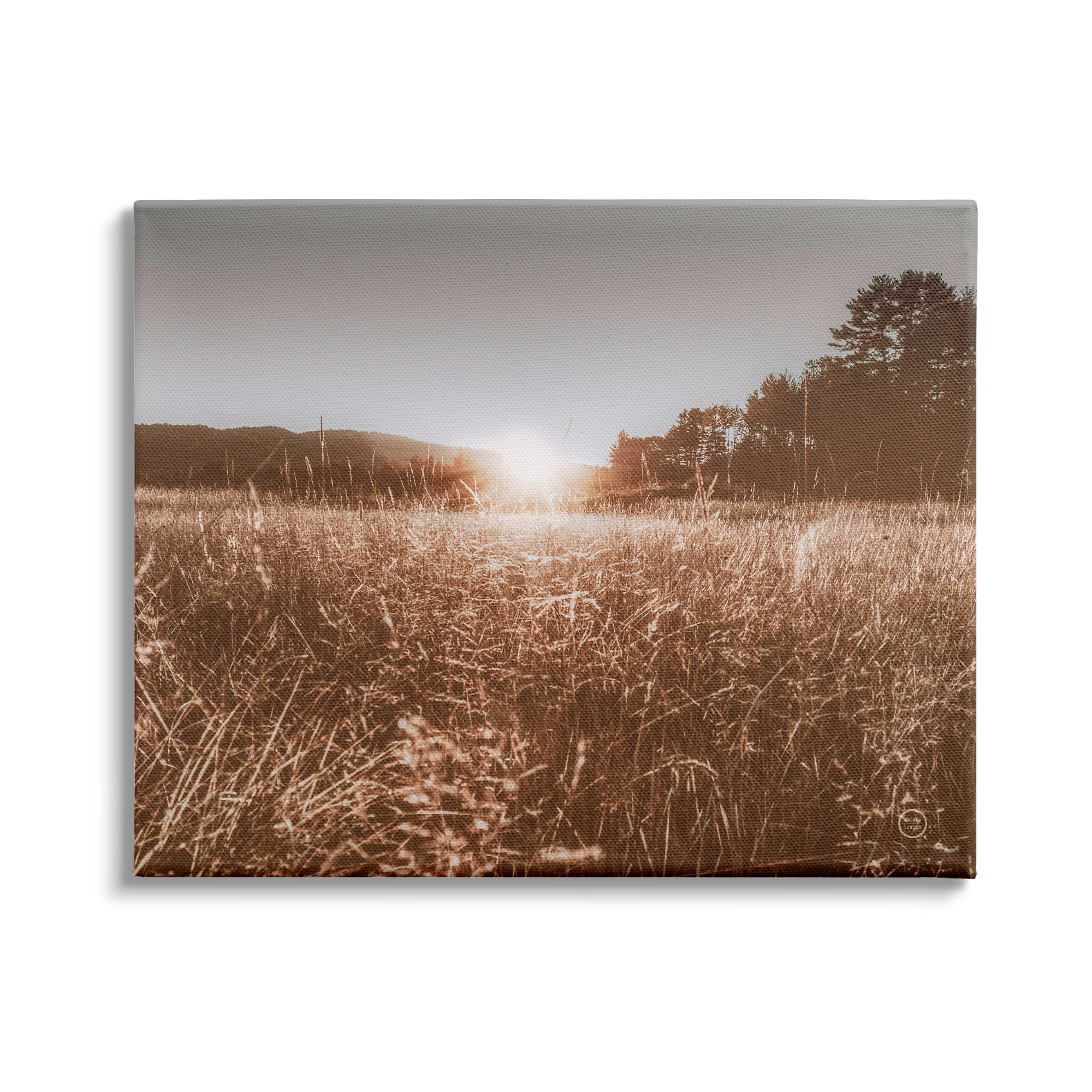 Stupell Industries Sunrise Country Meadow Tall Grass Light Burst Photography, 30 x 24,Design by Nathan Larson
