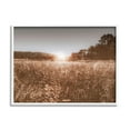 thumbnail image 1 of Stupell Industries Sunrise Country Meadow Tall Grass Light Burst Photography, 30 x 24,Design by Nathan Larson, 1 of 5
