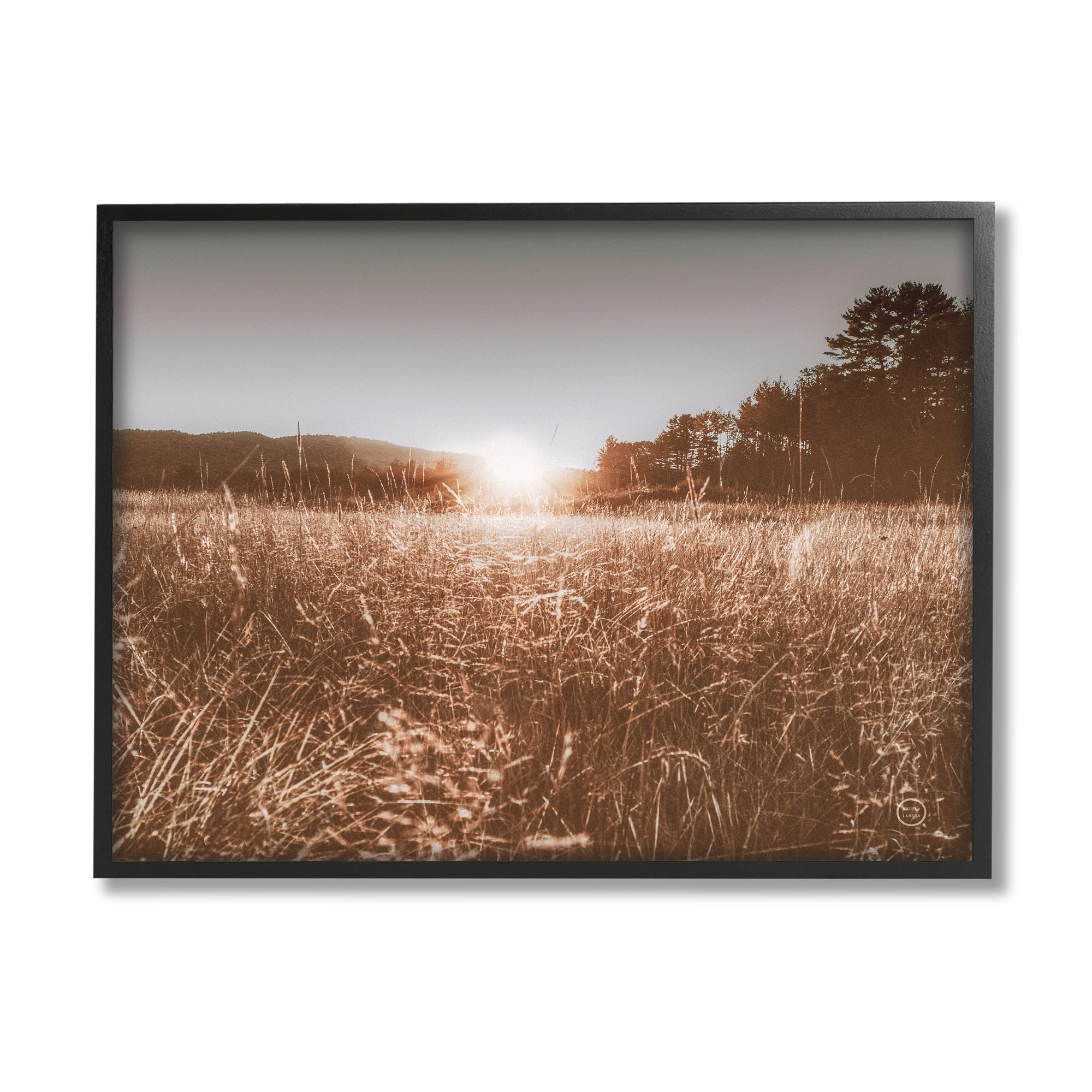 Stupell Industries Sunrise Country Meadow Tall Grass Light Burst Photography, 30 x 24,Design by Nathan Larson
