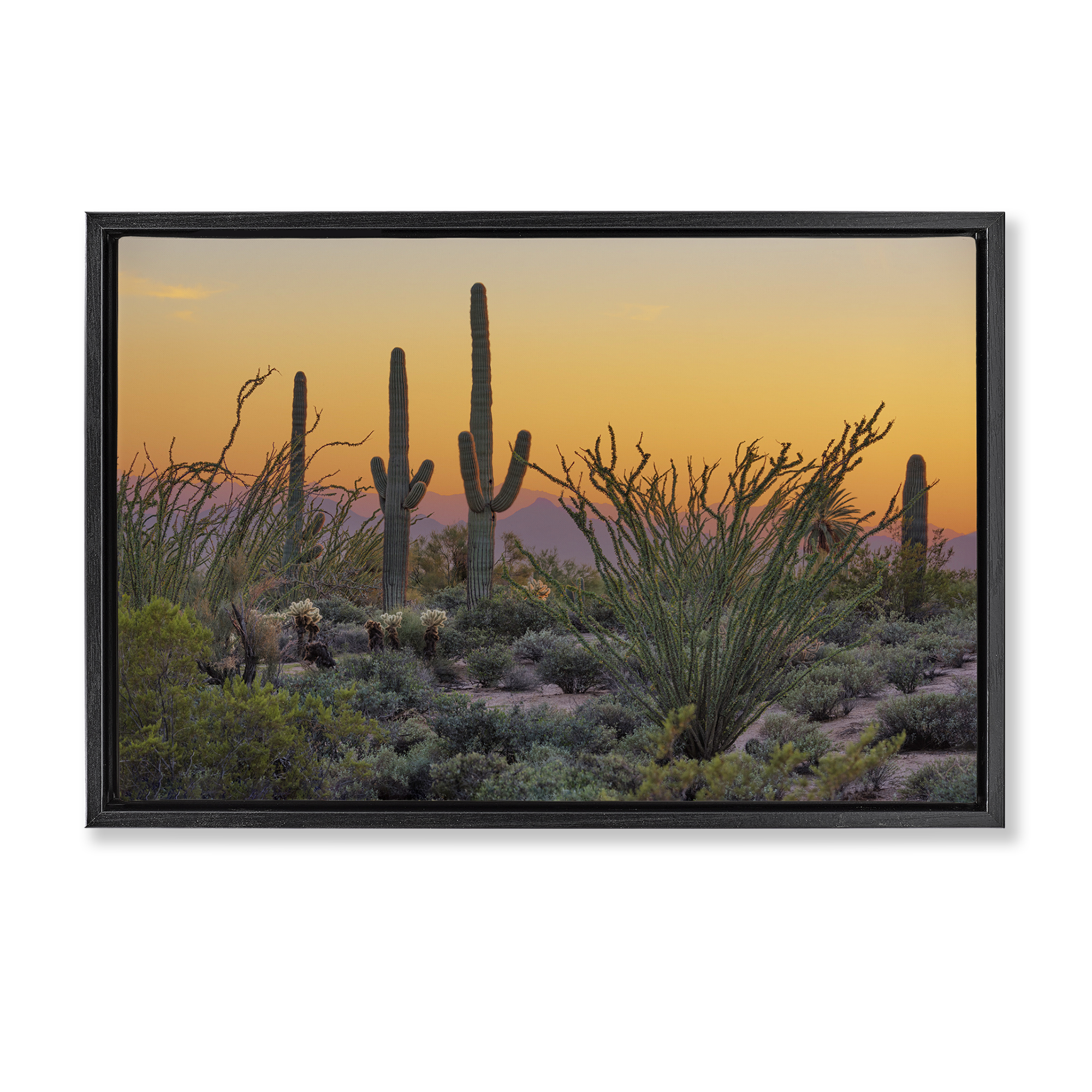 Stupell Industries Sunset Desertscape Cacti Landscape & Nature Photography Black Floater Framed Canvas Art Print Wall Art, 31 x 21