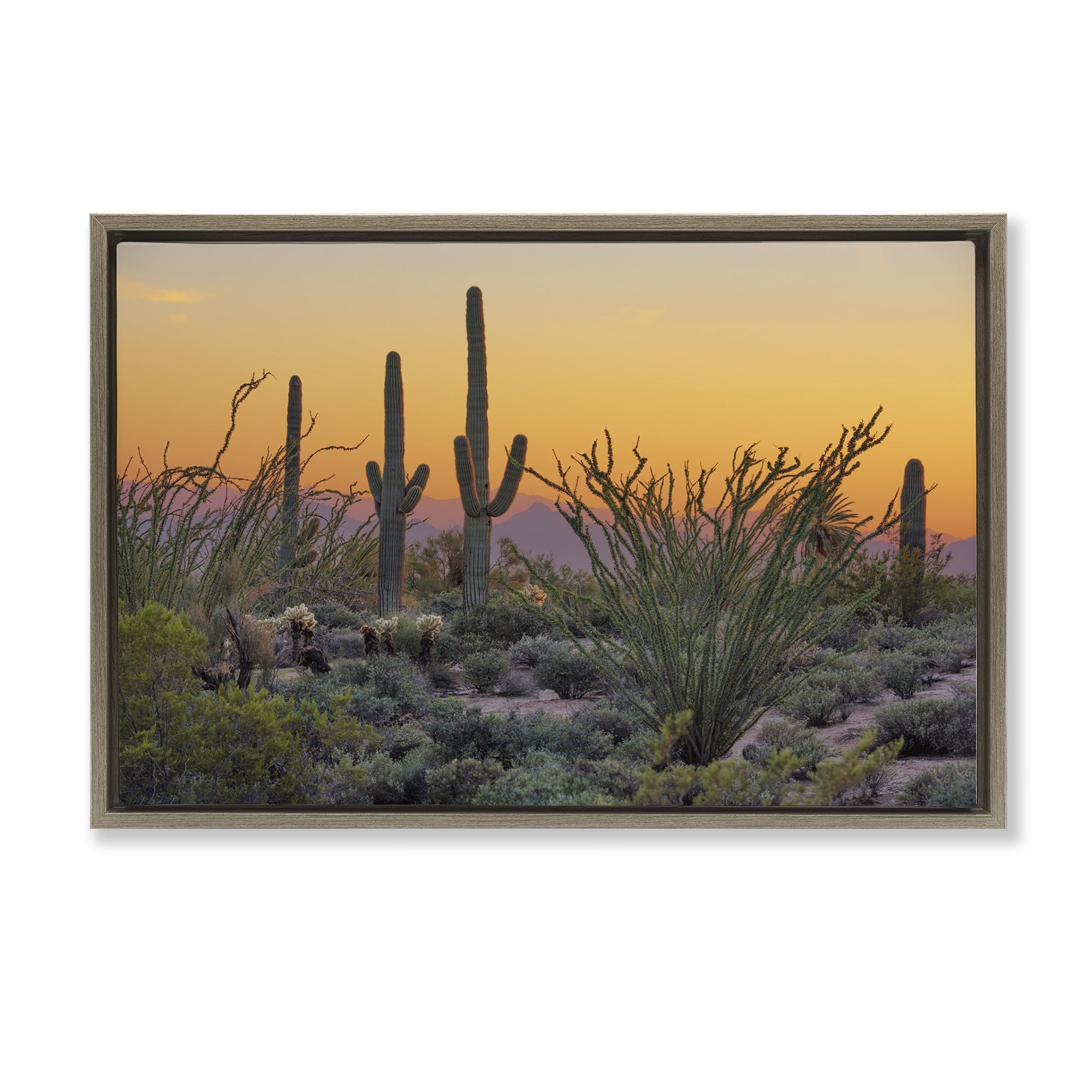 Stupell Industries Sunset Desertscape Cacti Landscape & Nature Photography Brown Floater Framed Canvas Art Print Wall Art, 31 x 21