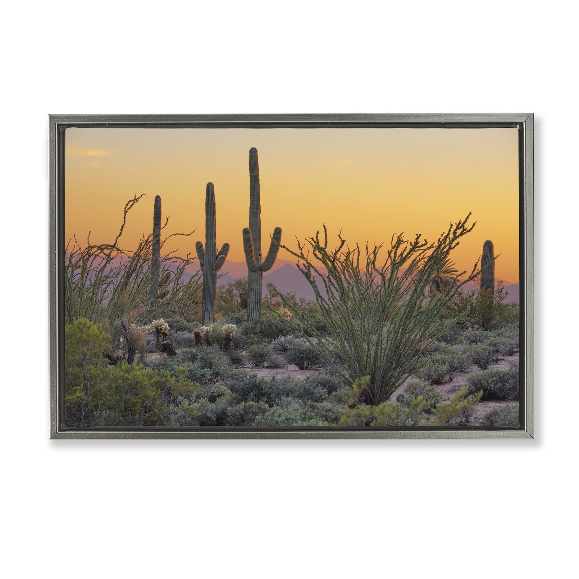 Stupell Industries Sunset Desertscape Cacti Landscape & Nature Photography Gray Floater Framed Canvas Art Print Wall Art, 25 x 17