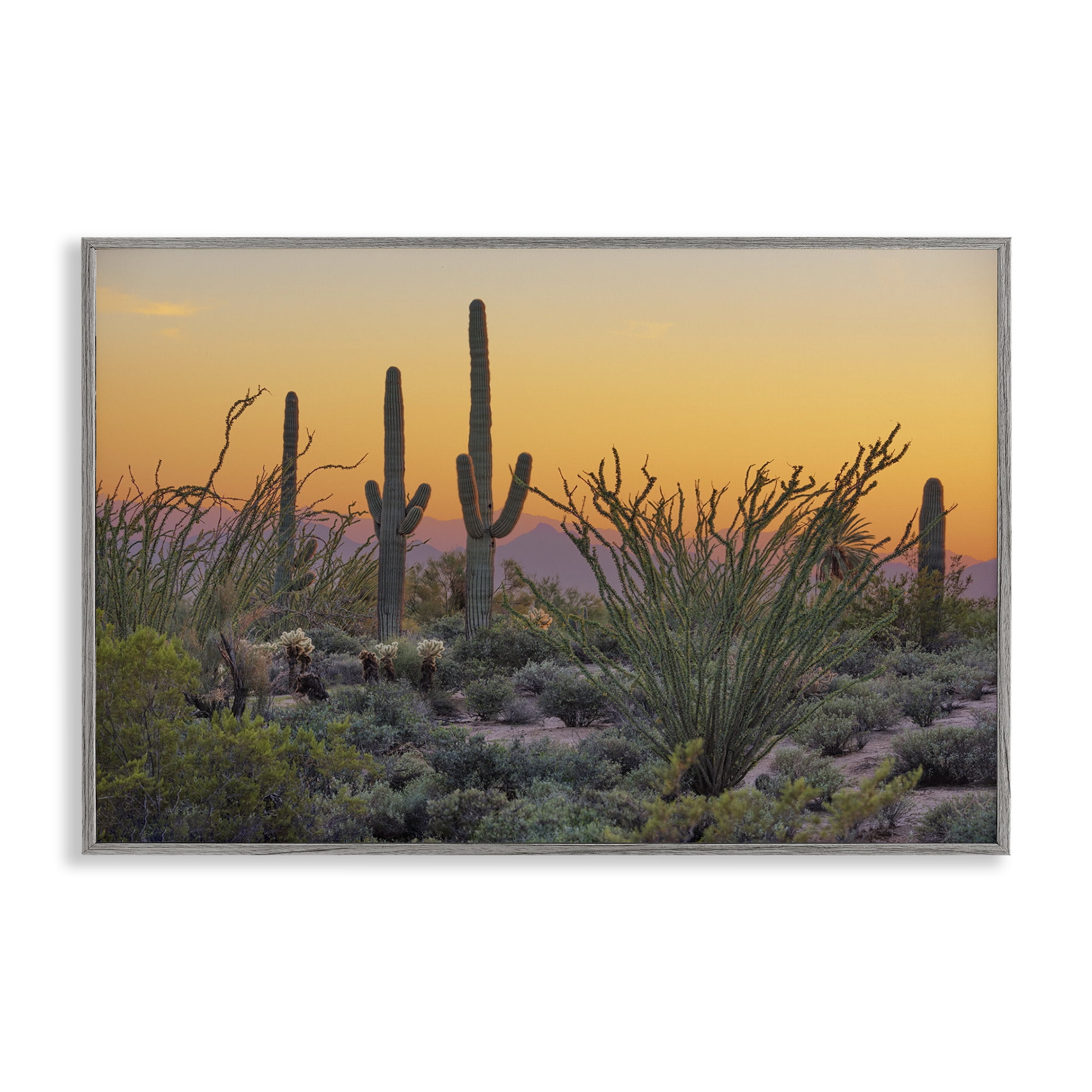 Stupell Industries Sunset Desertscape Cacti Landscape & Nature Photography Gray Framed Art Print Wall Art, 30 x 20