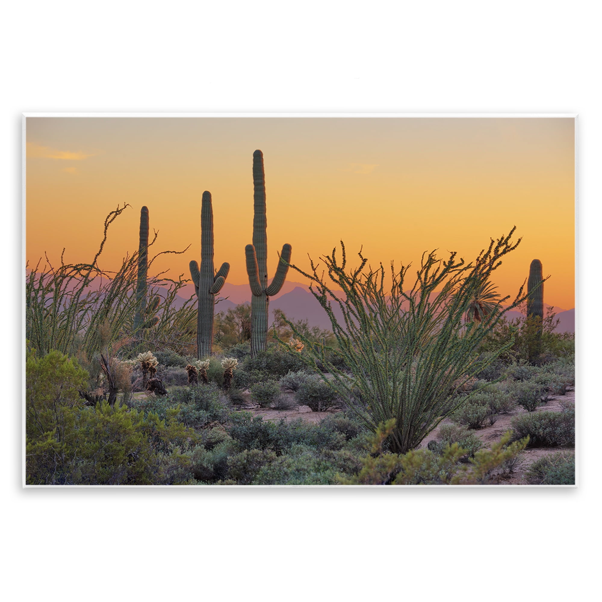 Stupell Industries Sunset Desertscape Cacti Landscape & Nature Photography Unframed Art Print Wall Art, 19 x 13