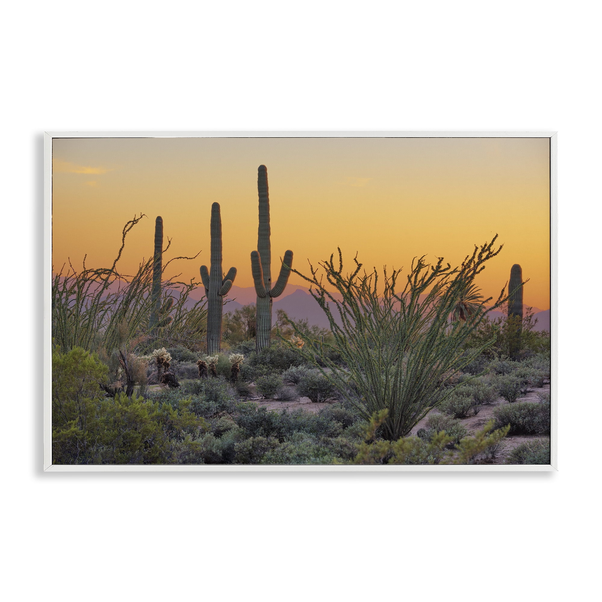 Stupell Industries Sunset Desertscape Cacti Landscape & Nature Photography White Framed Art Print Wall Art, 24 x 16