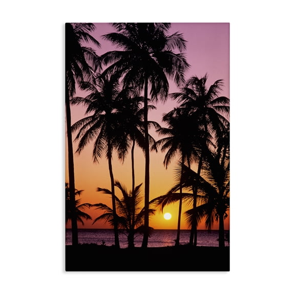 Stupell Industries Sunset On Martinique Canvas Wall Art design by Danita Delimont, 30 x 20