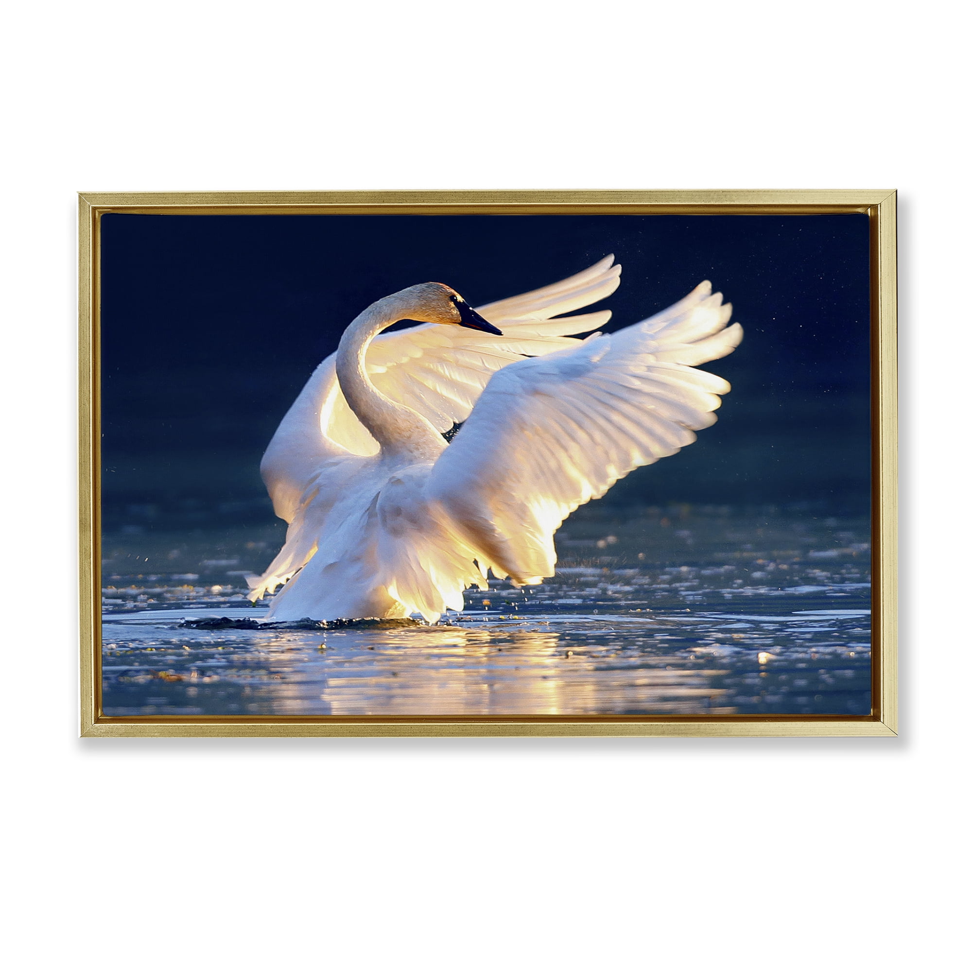 Stupell Industries Sunset Symphony Swan Animals Photography Gold Floater Framed Canvas Art Print Wall Art, 25 x 17