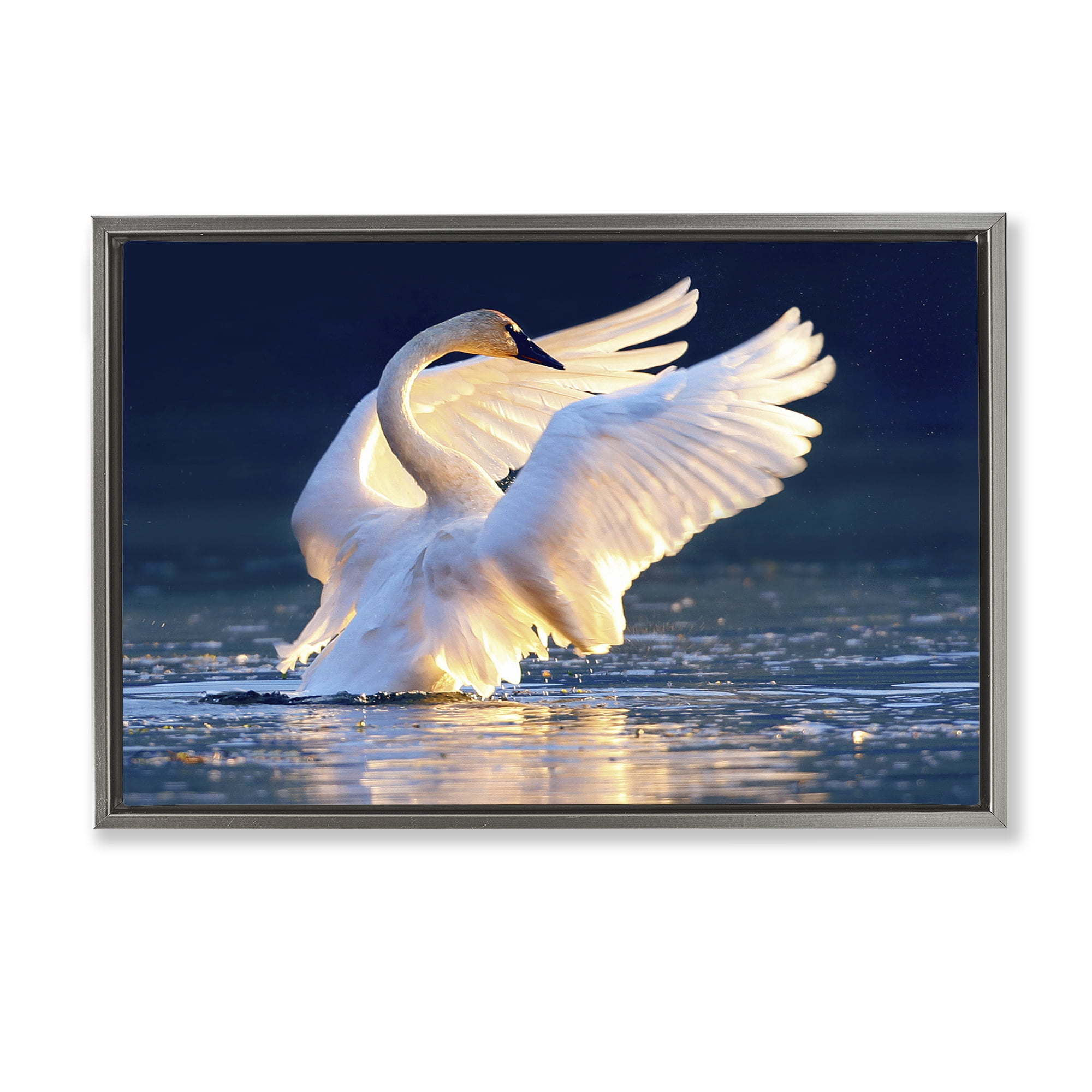 Stupell Industries Sunset Symphony Swan Animals Photography Gray Floater Framed Canvas Art Print Wall Art, 31 x 21