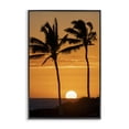 thumbnail image 1 of Stupell Industries Tropical Sunset Through Palm Trees Black Framed Giclee Art, 16 x 24, by Dennis Frates, 1 of 8