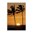 thumbnail image 1 of Stupell Industries Tropical Sunset Through Palm Trees Canvas Art, 24 x 36, by Dennis Frates, 1 of 8
