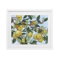 thumbnail image 1 of Stupell Industries Modern Sunshine Citrus Tree White Framed Print Under Glass, 16 x 13, by June Erica Vess, 1 of 8