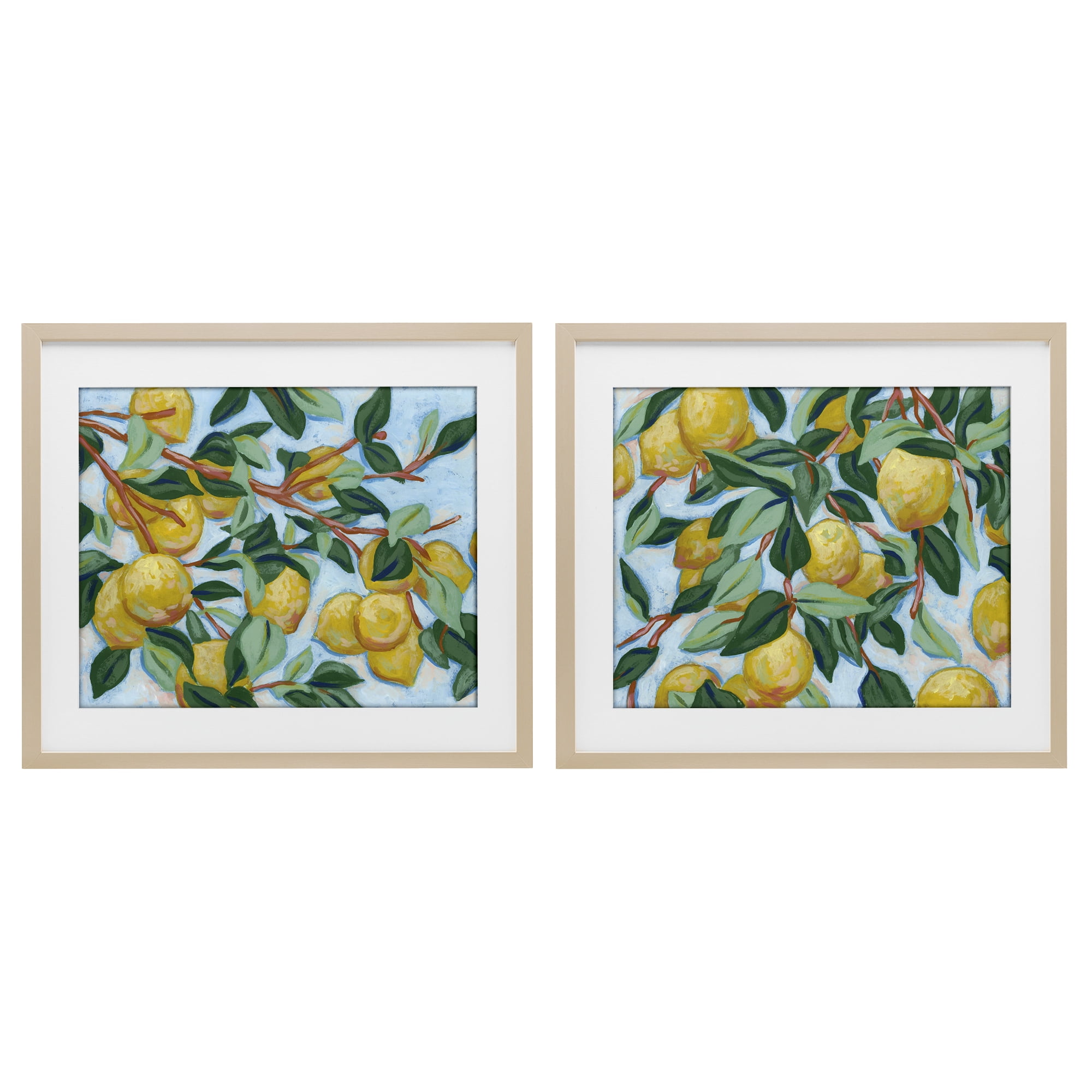 Stupell Industries Sunshine Lemon Tree 2 Piece Birch Framed Print Under Glass Set, design by June Erica Vess