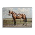 thumbnail image 1 of Stupell Industries Transitional Sunshine Pony on Farm Path Black Framed Giclee Art, 30 x 20, by Petals Prints Design, 1 of 8