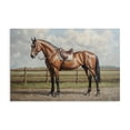 thumbnail image 1 of Stupell Industries Transitional Sunshine Pony on Farm Path Canvas Art, 24 x 16, by Petals Prints Design, 1 of 8