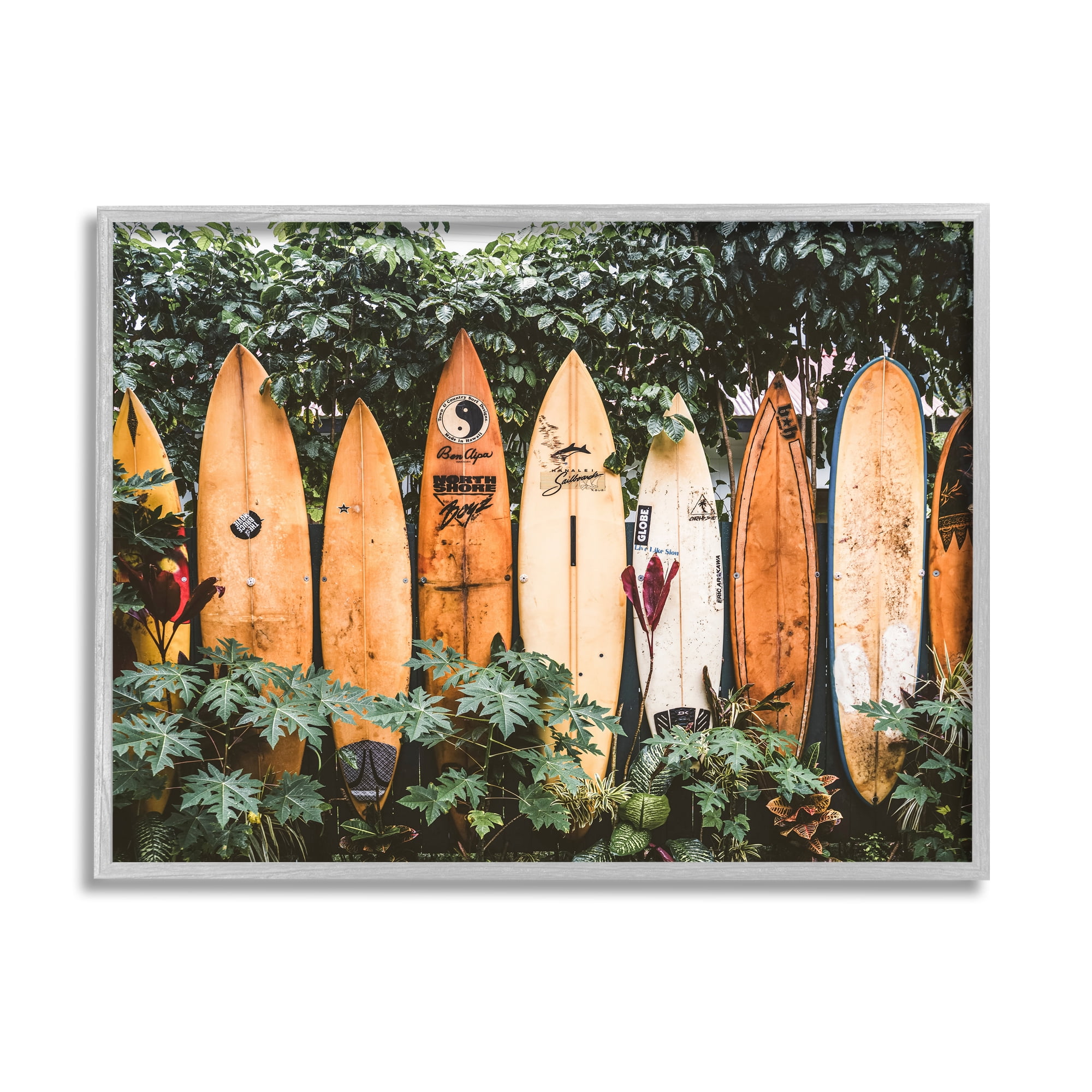 Stupell Industries Surf Boards in Nature Sports Photography Gray Framed Art Print Wall Art, 20 x 16