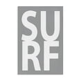 thumbnail image 1 of Stupell Industries Rustic Lodge Surf Word on Grey Canvas Art, 30 x 45, by Jamie MacDowell, 1 of 8