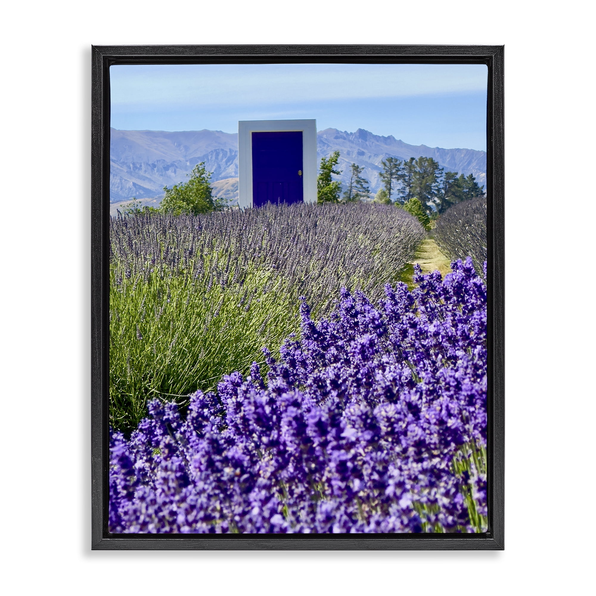 Stupell Industries Surreal Doorway Landscape Landscape Photography Black Floater Framed Art Print Wall Art, 17 x 21