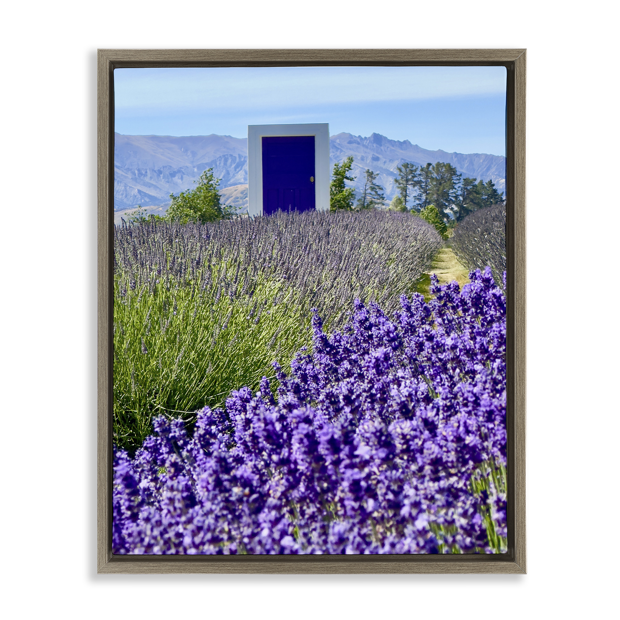 Stupell Industries Surreal Doorway Landscape Landscape Photography Brown Floater Framed Art Print Wall Art, 17 x 21
