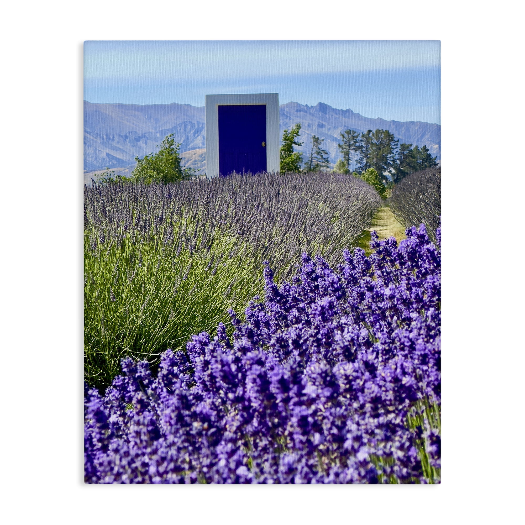 Stupell Industries Surreal Doorway Landscape Landscape Photography Gallery Wrapped Canvas Art Print Wall Art, 16 x 20