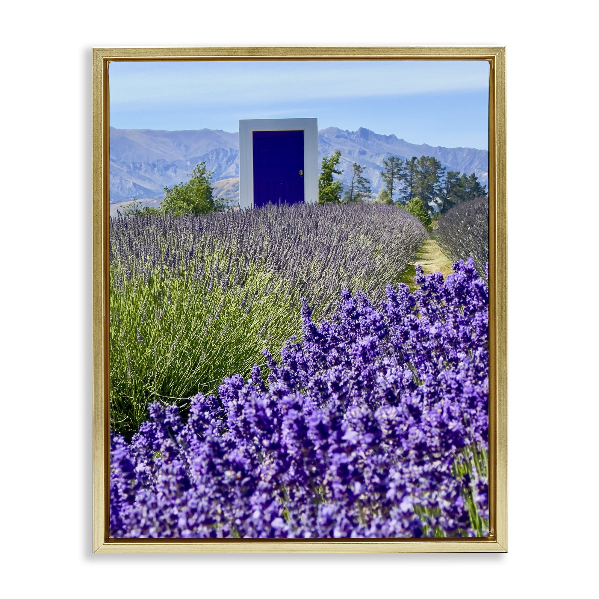 Stupell Industries Surreal Doorway Landscape Landscape Photography Gold Floater Framed Art Print Wall Art, 25 x 31