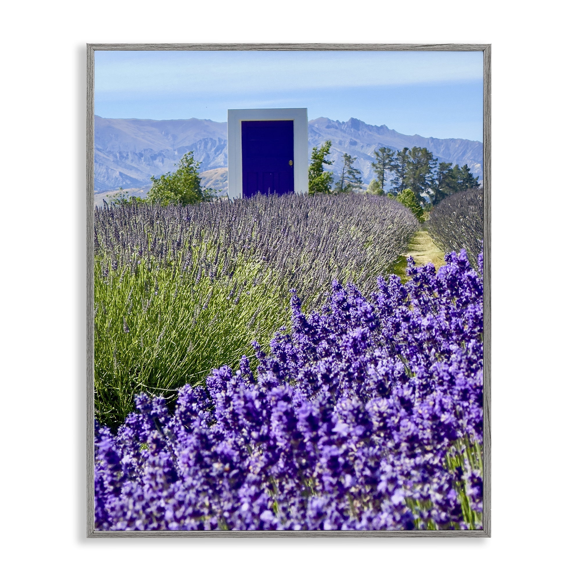 Stupell Industries Surreal Doorway Landscape Landscape Photography Gray Framed Art Print Wall Art, 11 x 14