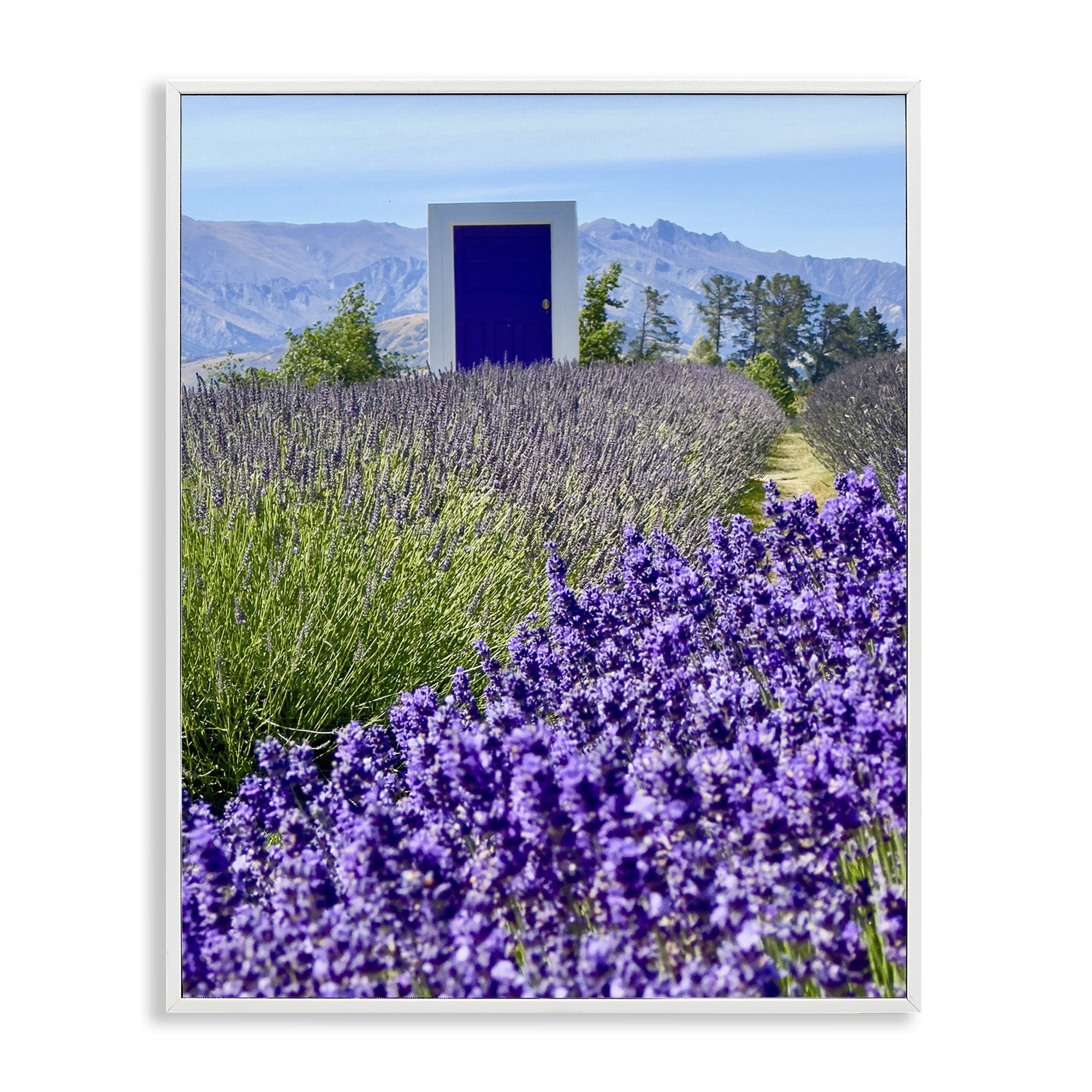 Stupell Industries Surreal Doorway Landscape Landscape Photography White Framed Art Print Wall Art, 11 x 14