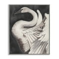 thumbnail image 1 of Stupell Industries Cottage Swan Spreading Wings Gray Framed Giclee Art, 11 x 14, by Grace Popp, 1 of 8