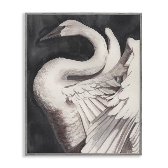 Stupell Industries Swan Spreading Wings Animals Painting Gray Framed Art Print Wall Art, 11 x 14