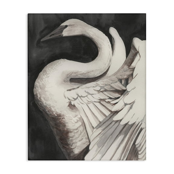 Stupell Industries Swan Spreading Wings Animals Painting Wrapped Canvas Art Print Wall Art, 16 x 20