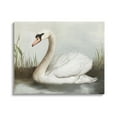 thumbnail image 1 of Stupell Industries Swan in Pond Painting Animals & Insects Painting Gallery Wrapped Canvas Print Wall Art, 1 of 5