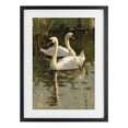 thumbnail image 1 of Stupell Industries Transitional Swans For A Swim Black Framed Print Under Glass, 14 x 20, by Petals Prints Design, 1 of 8
