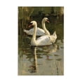 thumbnail image 1 of Stupell Industries Transitional Swans For A Swim Canvas Art, 16 x 24, by Petals Prints Design, 1 of 8