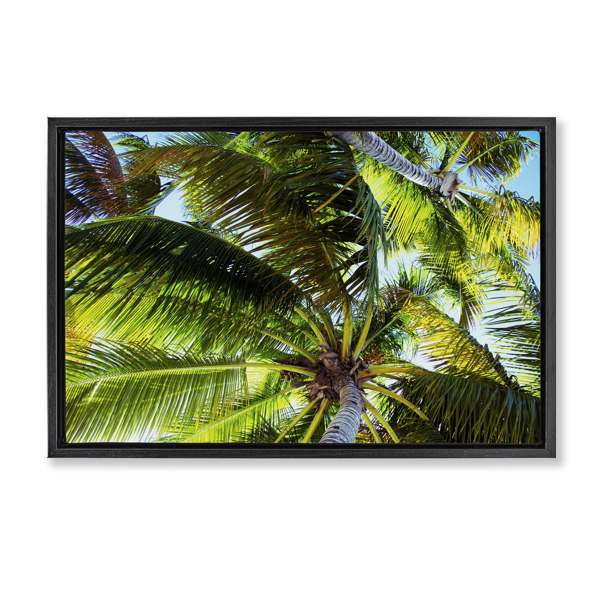 Stupell Industries Swaying Palm Leaves Botanical & Floral Photography Black Floater Framed Canvas Art Print Wall Art, 31 x 21