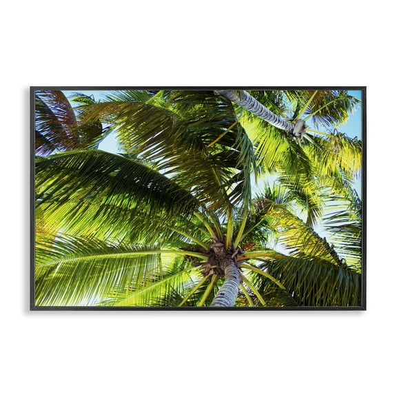 Stupell Industries Swaying Palm Leaves Botanical & Floral Photography Black Framed Art Print Wall Art, 18 x 12