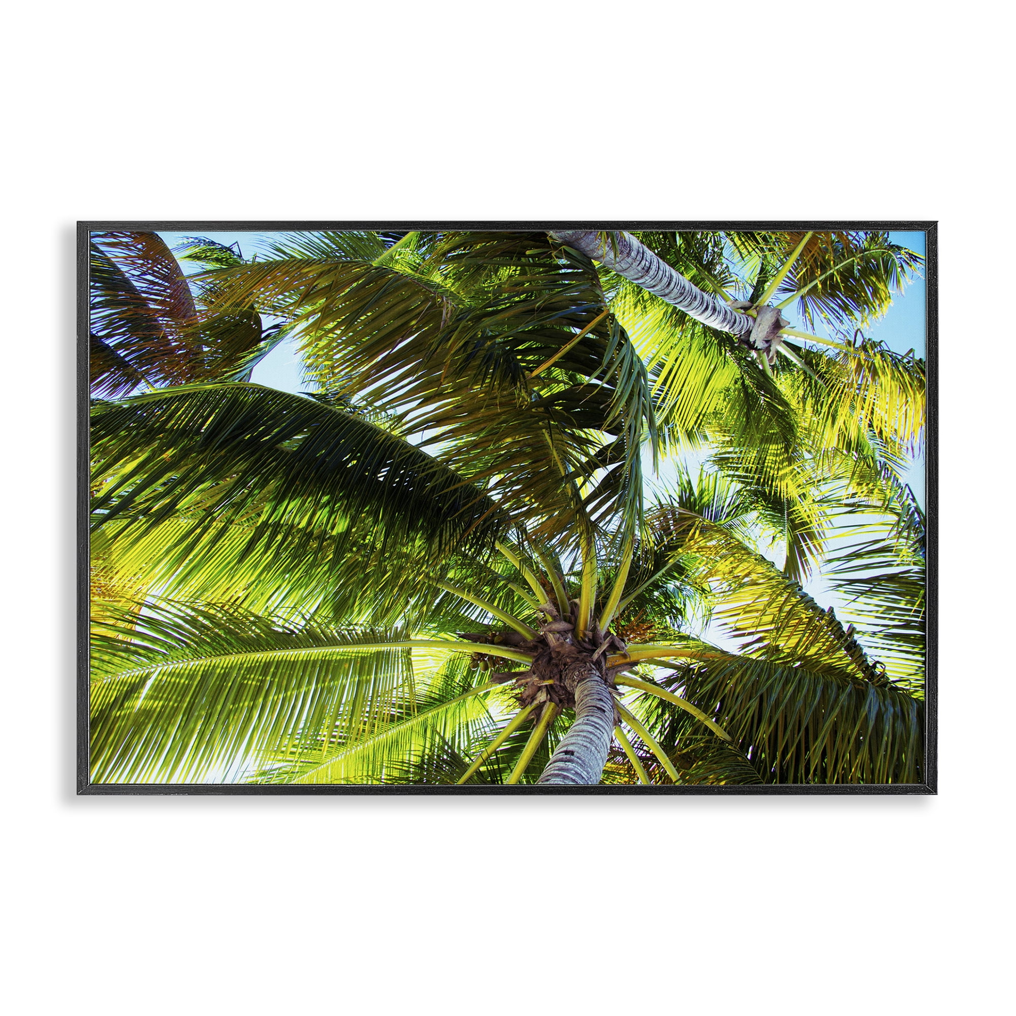 Stupell Industries Swaying Palm Leaves Botanical & Floral Photography Black Framed Art Print Wall Art, 24 x 16