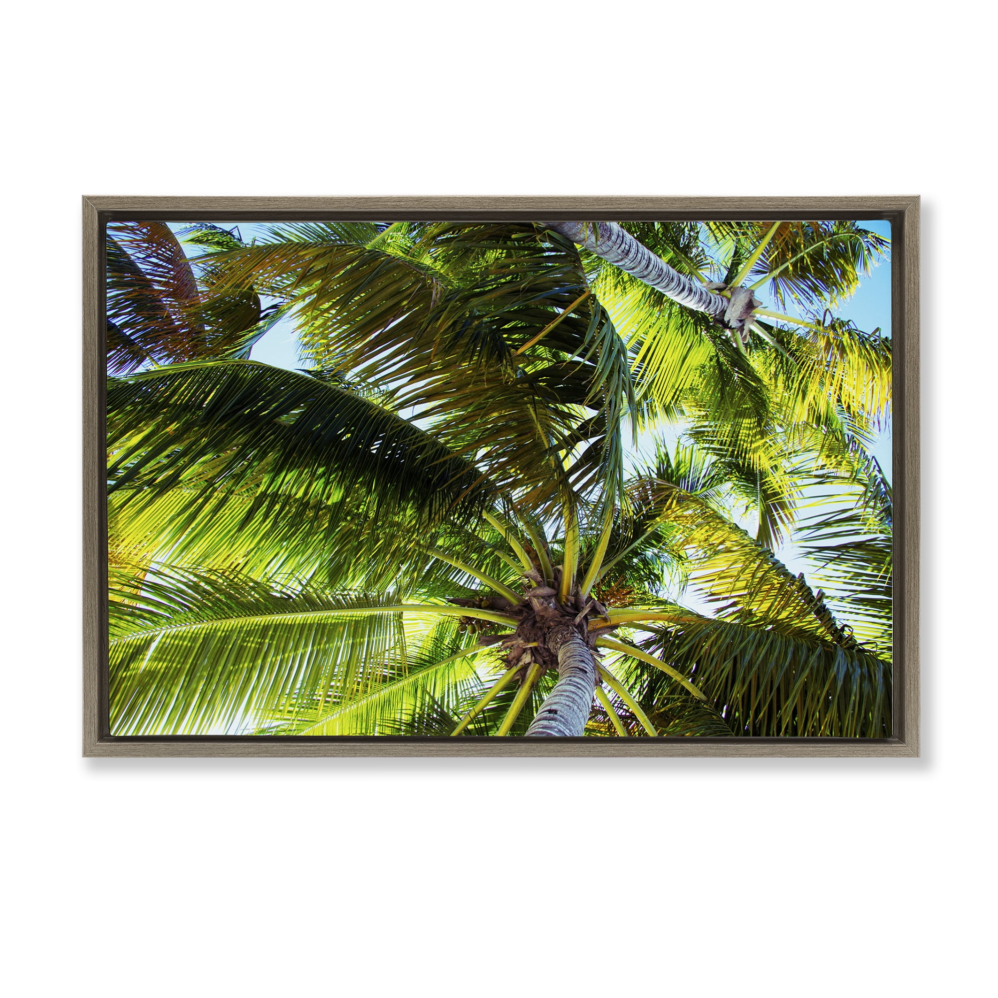Stupell Industries Swaying Palm Leaves Botanical & Floral Photography Brown Floater Framed Canvas Art Print Wall Art, 31 x 21