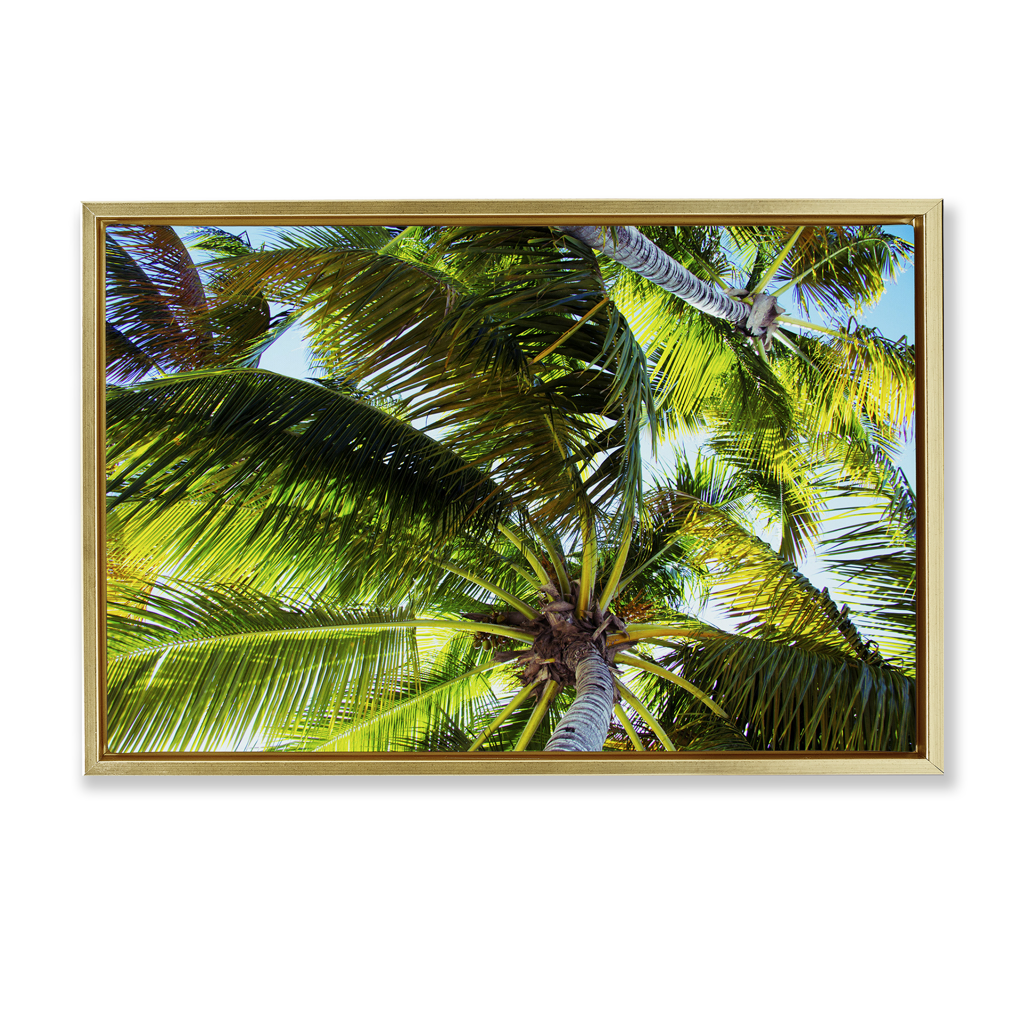 Stupell Industries Swaying Palm Leaves Botanical & Floral Photography Gold Floater Framed Canvas Art Print Wall Art, 31 x 21